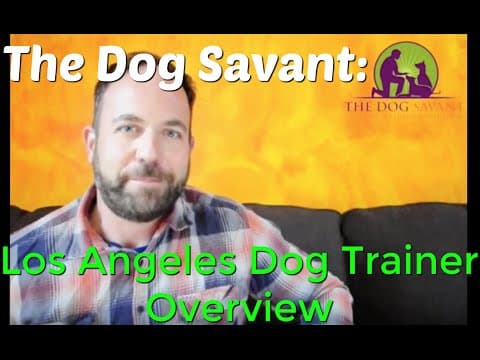 LA Trainer Profile