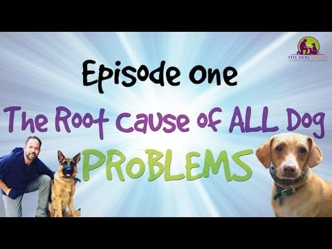 All Dog Problems — Episode 1