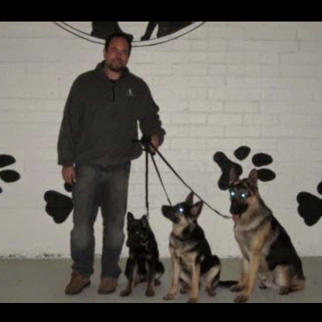 Brett Endes with three trained German Shepherds on leash