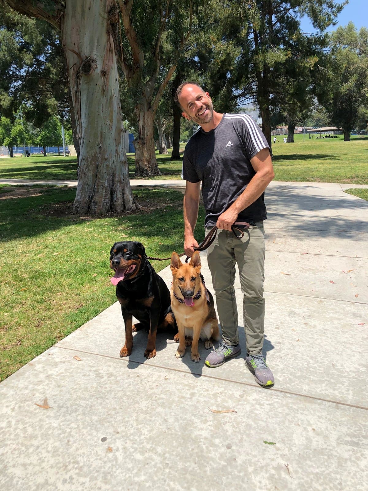 Brett Endes with a Rottweiler and a German Shepherd sitting calmly on a loose leash at a Los Angeles park