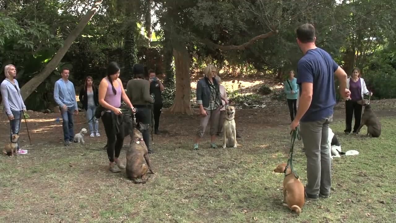 Group Classes