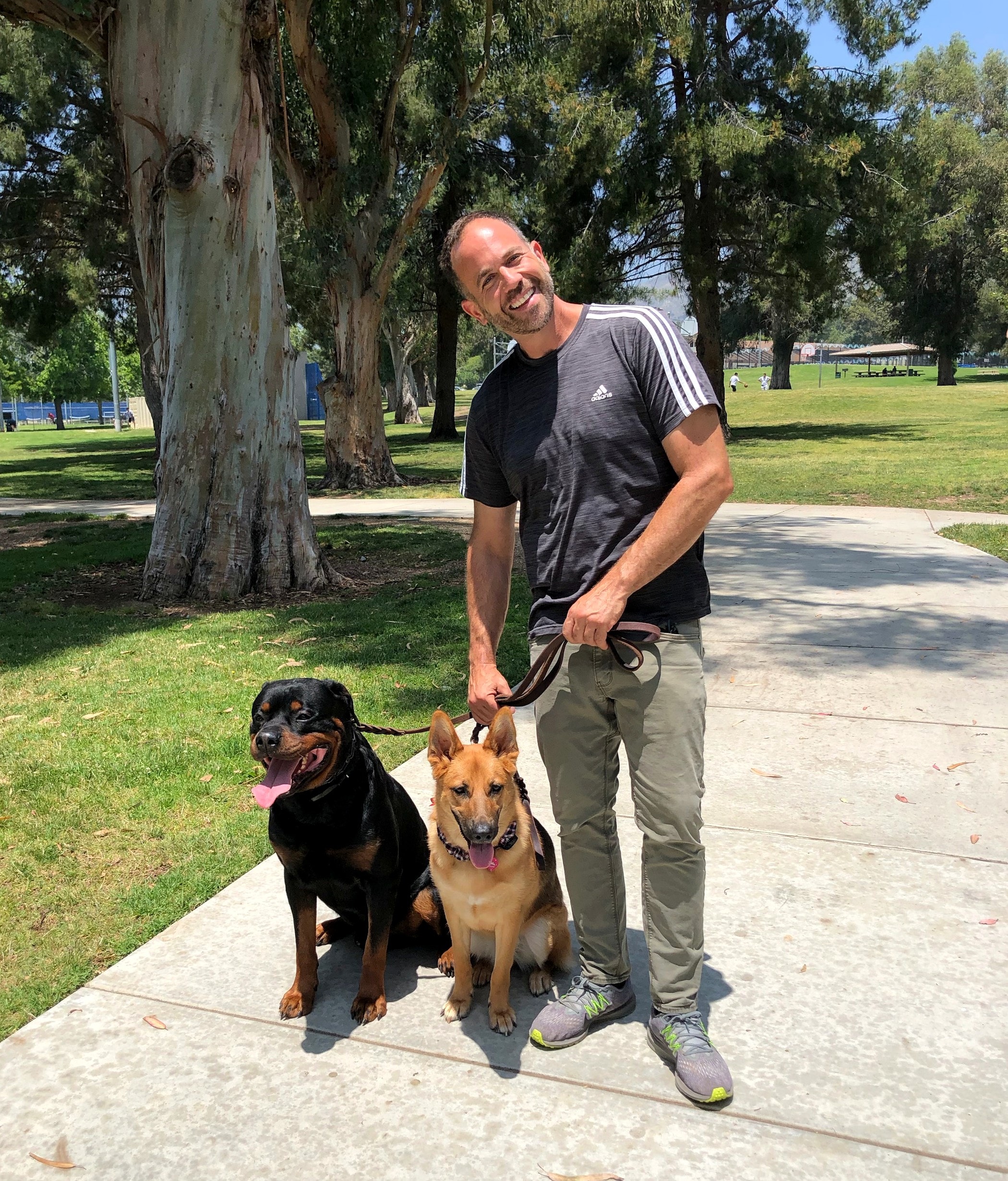 Brett Endes with a Rottweiler and a German Shepherd sitting on a loose leash at a Los Angeles park
