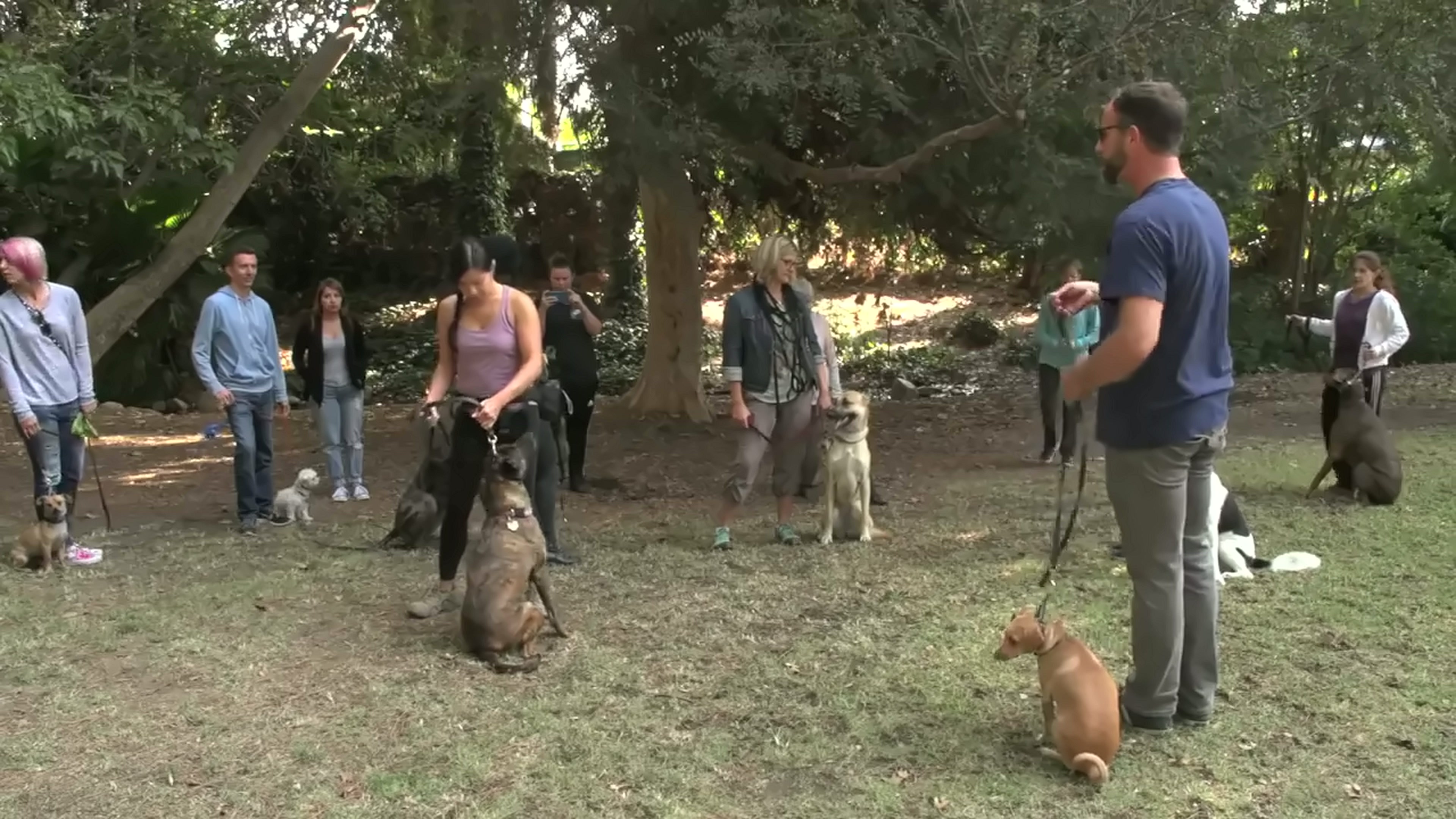 Brett Endes leading a Los Angeles dog training class, working a dog on a loose leash