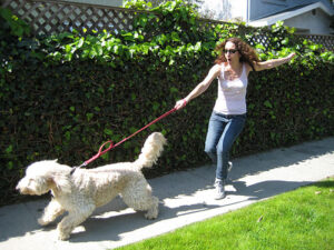 Dog training can eliminate leash pulling and lunging