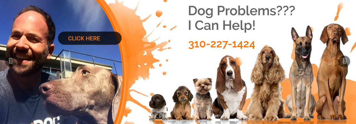 dog trainer brentwood california